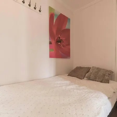 Large, Central Apt Between Bryggen And Floyen-3br Daire
