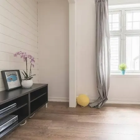 Large, Central Apt Between Bryggen And Floyen-3br *